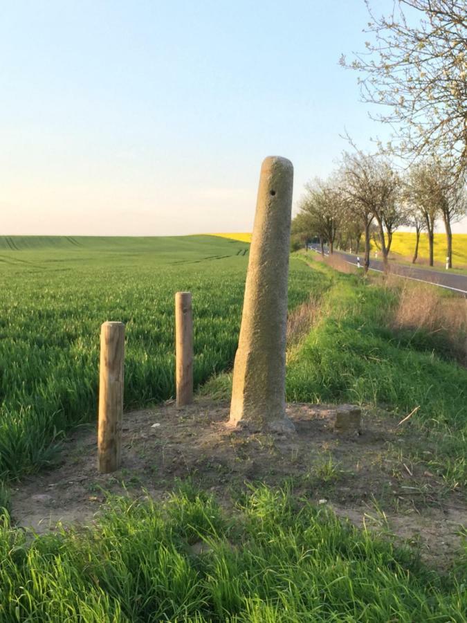 Ferienhaus Biene Wartin Zewnętrze zdjęcie
