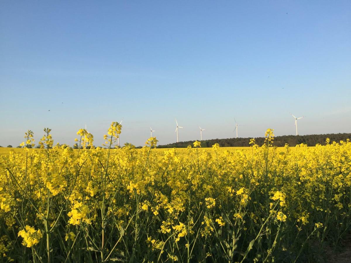 Ferienhaus Biene Wartin Zewnętrze zdjęcie