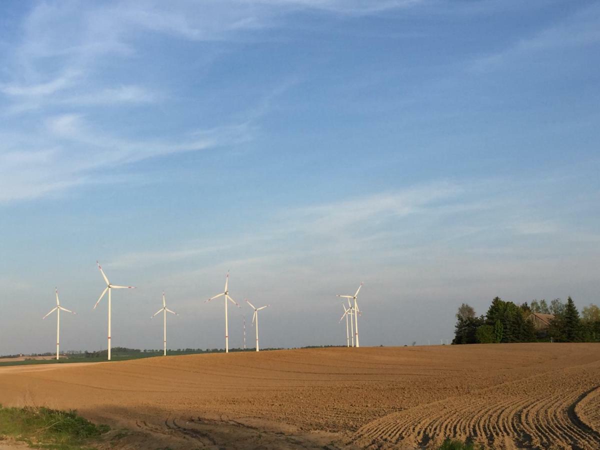 Ferienhaus Biene Wartin Zewnętrze zdjęcie