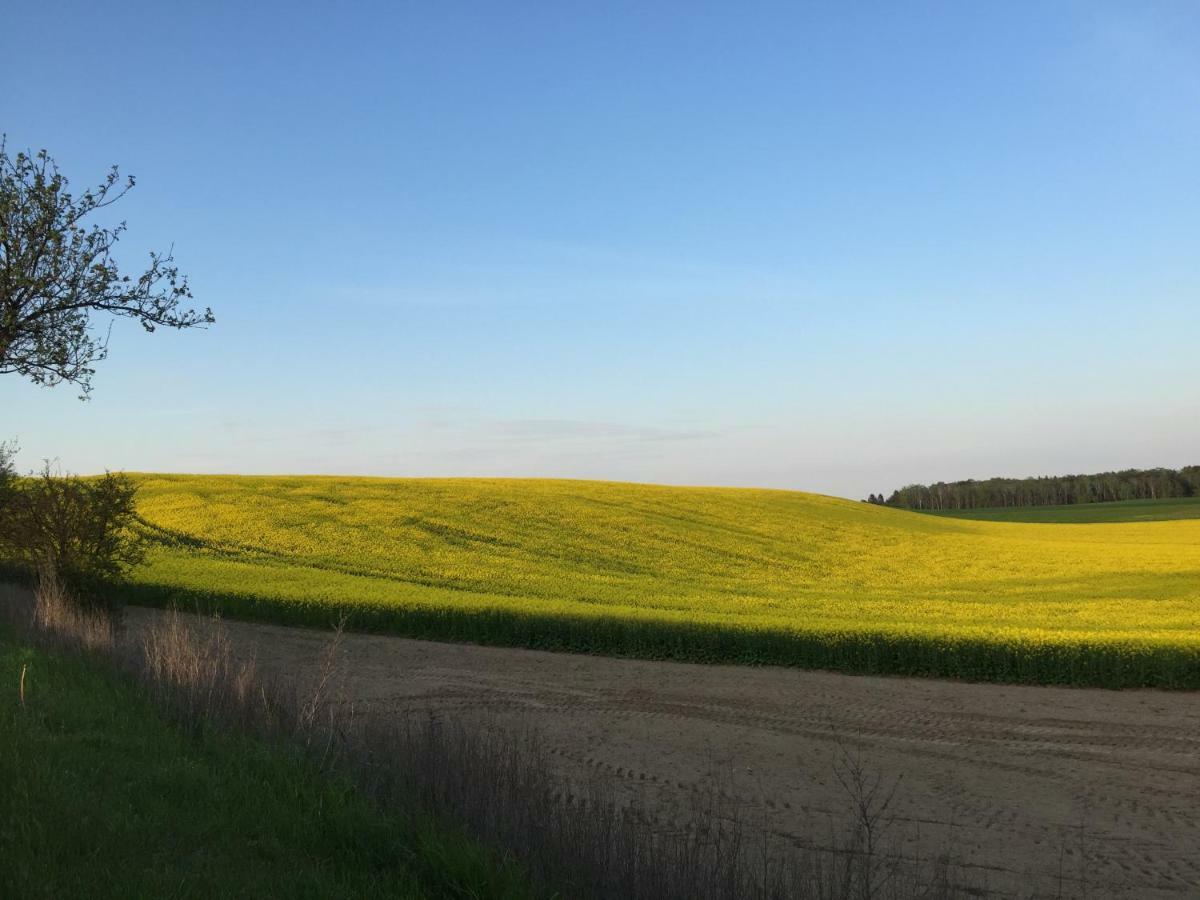 Ferienhaus Biene Wartin Zewnętrze zdjęcie