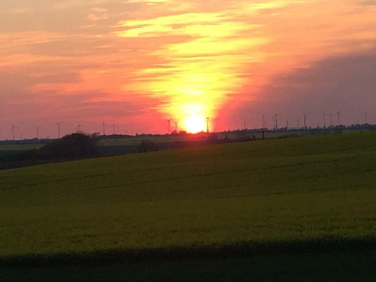 Ferienhaus Biene Wartin Zewnętrze zdjęcie