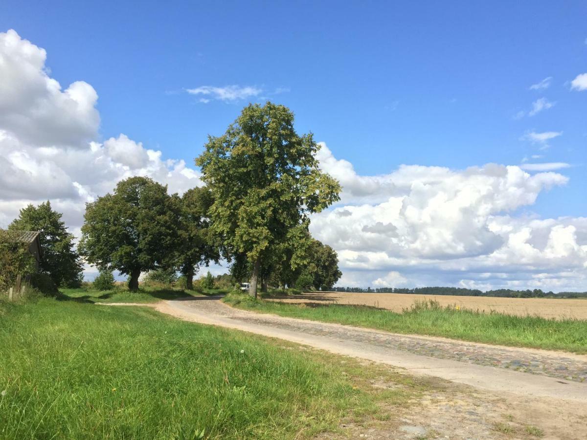 Ferienhaus Biene Wartin Zewnętrze zdjęcie